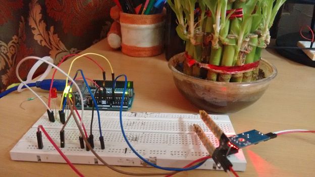 Less water or moisture in pot